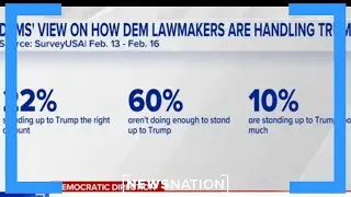 Voter frustration grows within Democratic Party | Morning in America