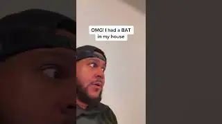 I had a bat in my house #batman #bat #conedyvideo #ytshorts