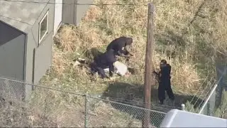 New video shows moment Fort Worth police take escaped inmate into custody