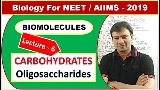 CARBOHYDRATES | Oligosaccharides | Biomolecules Lecture - 6 | NEET / AIIMS - 2019