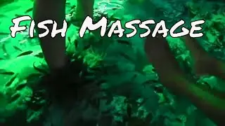 Fish Massage - Siem Reap Cambodia