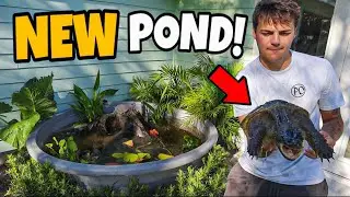 BUILDING 400G POND for My MONSTER TURTLES!!