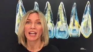 Dr. Peggy Bown busts yet another myth on baby teeth. How important are your baby teeth?