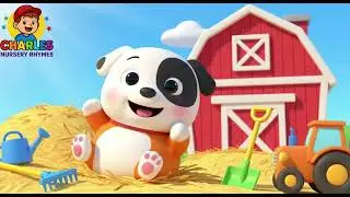 The Dog Song BINGO🐶 Clap Along Nursery Rhyme Charles Nursery Rhymes