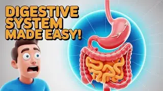 🍽️ Digestive System Made Easy | Amazing Food Journey Inside Your Body 💪 #viral #explore #studytips