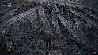 ELDEN RING Farming  Rune Dragon tip