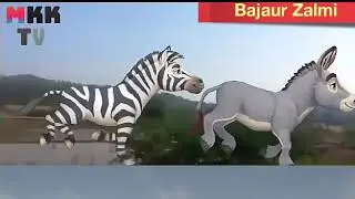 JUI-F vs PTI