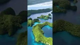 Palau from above! If you are visiting Palau, I highly recommend booking a small plane with open door