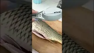 Plastic Fish Scales Graters Scraper Fish Cleaning Scraping Scales Tool