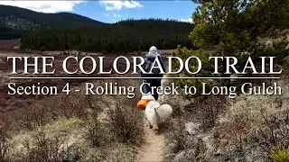 The Colorado Trail - Backpacking Section 4 with Fluffy Dog