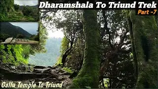 Dharamshala To Triund Trek || Gallu Temple To Triund || Part -7 || Himachal Pradesh 