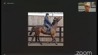 Live with Dr. Sue Dyson: Head Tossing, Head Shaking and other Irregularities