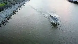 Intercoastal 