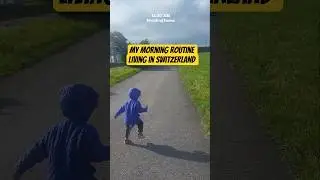 No Aesthetics, Just Real Life 😅 | Indian Mom Morning Routine in Switzerland #shorts
