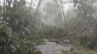 Cyclone 'NISARGA' 2020