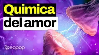 La química del enamoramiento: qué le pasa a nuestro cerebro