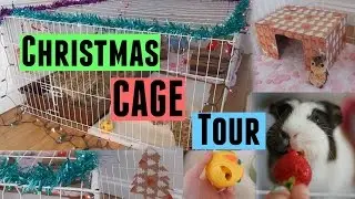 Christmas Cage Tour | December 2014