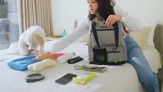 Park Pack Dog Gear Tote