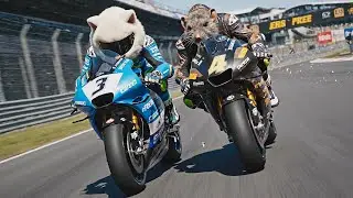 Marshmallow Cats: The Ultimate Racing War