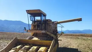 clayson 1545 corn harvest 2022