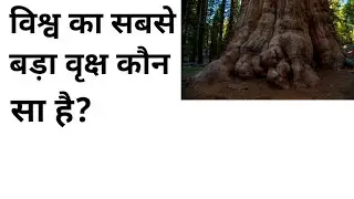 Interesting Gk (Facts),Must watch 😀😃😀😃😀