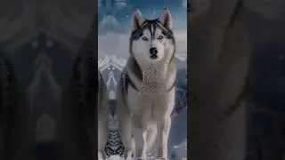 Top 10 most strongest dogs in the world 🌍 #military #love #top10 #like #top #top10most