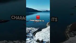 Discover the World's Strangest Rivers! #facts #brainbusters #science #interestingpuzzles #didyouknow