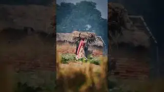 AAM HO Manik Jor tuwar Hopon❣️//new santhali video 2024#santhali short video
