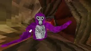 Salut moi c'est... (Gorilla tag [FR])