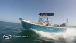 Here's the Catch! 23' Seabreeze Cruzin