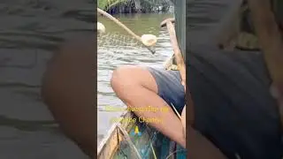 Catching Mud Crab Using Bintol Trap