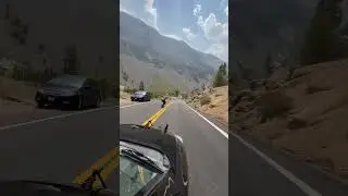 60 MPH Speed Wobbles Conquering the Road with Spud4k 🚀🛹