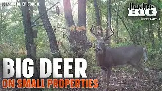 Big Deer, Small Properties | Hunt 'em Big
