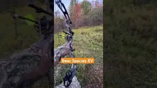 Bear Species EV #bowhunting #archery #deerhunting