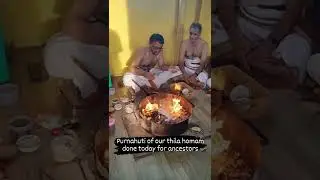 Performing 2 thila homam in our Lakshmi Narayanan Temple on Ammavasya for our clients #shorts