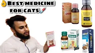 BEST MEDICINE FOR CATS FEVER |  LOSE MOTION | VOMITING |FUNGAL INFECTION |IMMUNITY INCREASE PET INFO