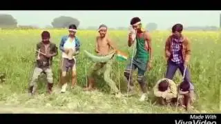 Hebuli video