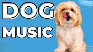 Help Separation Anxiety, Sleep, & More With Calming Music For Your Dog!