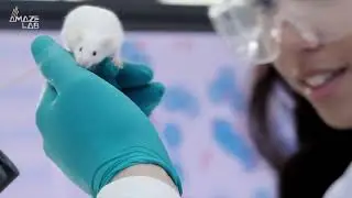 New Asthma Drug Could Recover Lost Memories.mp4