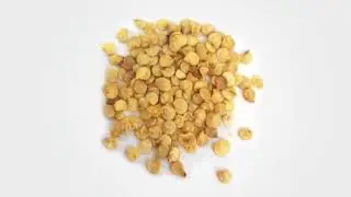 2  Chili Nursery Management Full HD