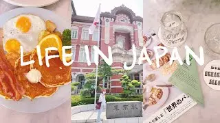 日本生活VLOG|Living in Japan VLOG|快閃鎌倉|world breakfast allday|Echire'|添好運|超市購物|日本生活日常