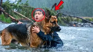 Blind Boy and Retired K9 Survive Storm, Expose Dark Secret &mdash; What Hunter Did Shocked Everyone