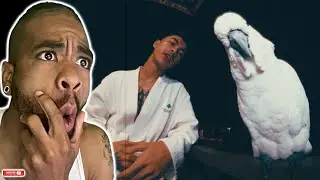 CONGRATULATIONS TO VANNDA - មហិច្ឆតា (AMBITION) [THANK YOU FOR 4M Subs] - SHOCKING REACTION