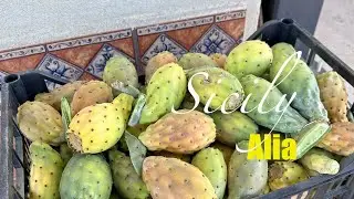 🇮🇹 A Day in Alia, Sicily: Family Visits, Farm Life, Wine & Cheese 