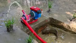 Mini water pump fishing exciting science project