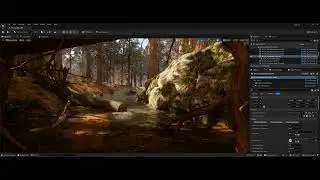 Echoes of Extinction | Redwoods Water Simulation