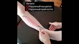 Боль и онемение в стопе. Массаж. Доктор Пак