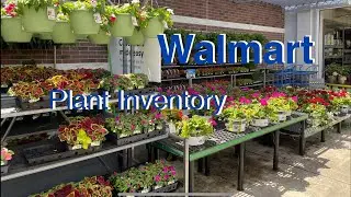 Walmart Garden Center Plant Inventory 2024 Annuals, and perennials