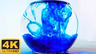 Mesmerizing Blue Dye in Water | Time Lapse & Slow Motion | 4K