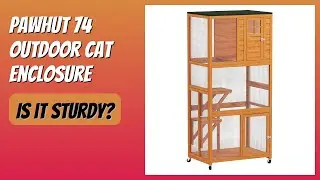 REVIEW (2026): PawHut 74 Outdoor Cat Enclosure. Features